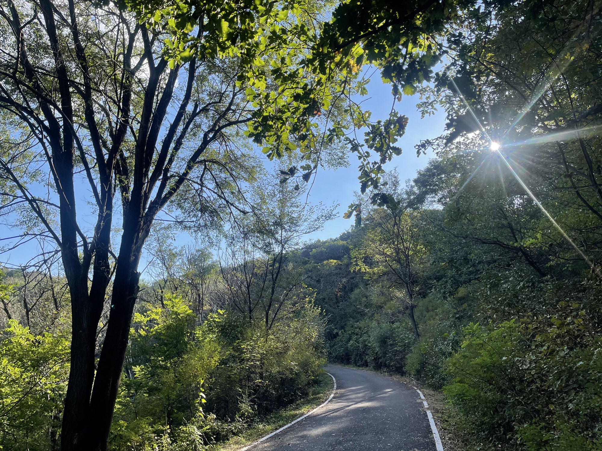 沈阳国家森林公园旅行图片 2