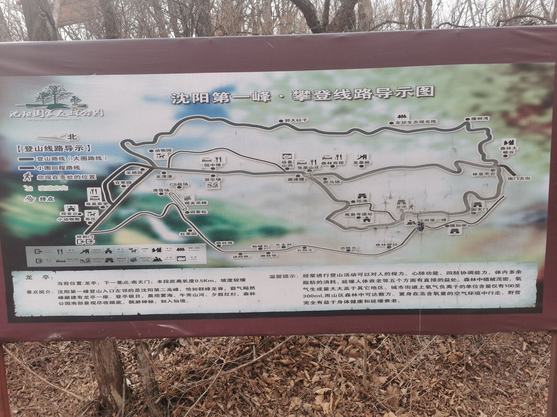 沈阳国家森林公园旅行图片 2
