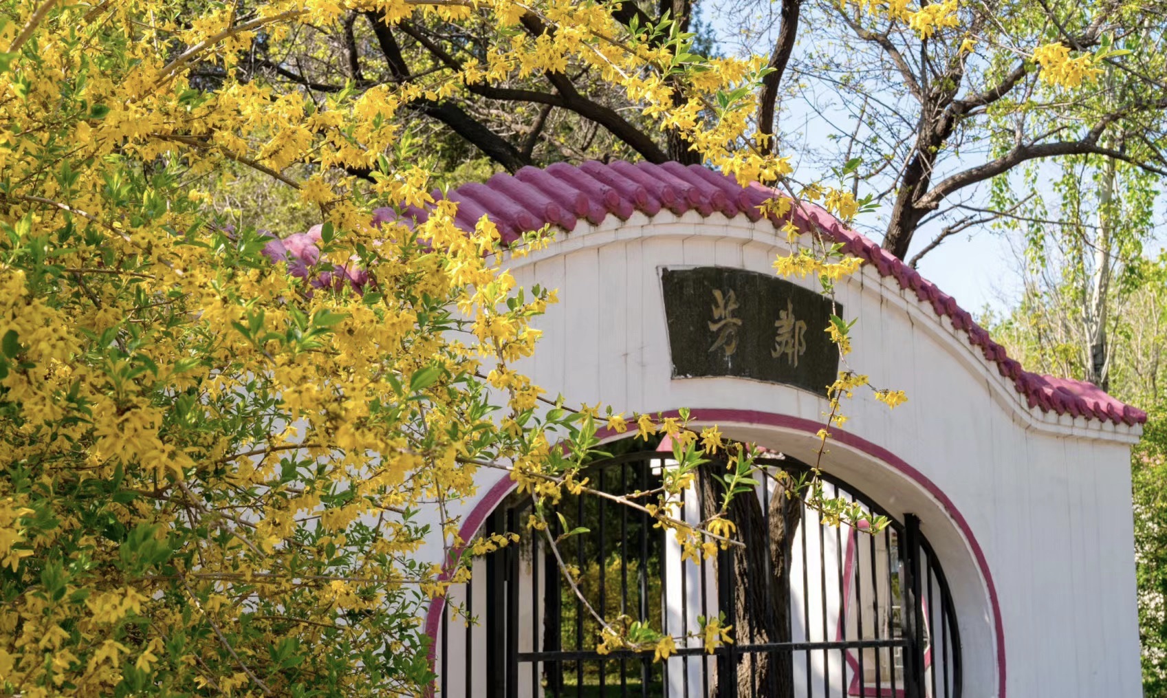 南湖公园旅行图片 2