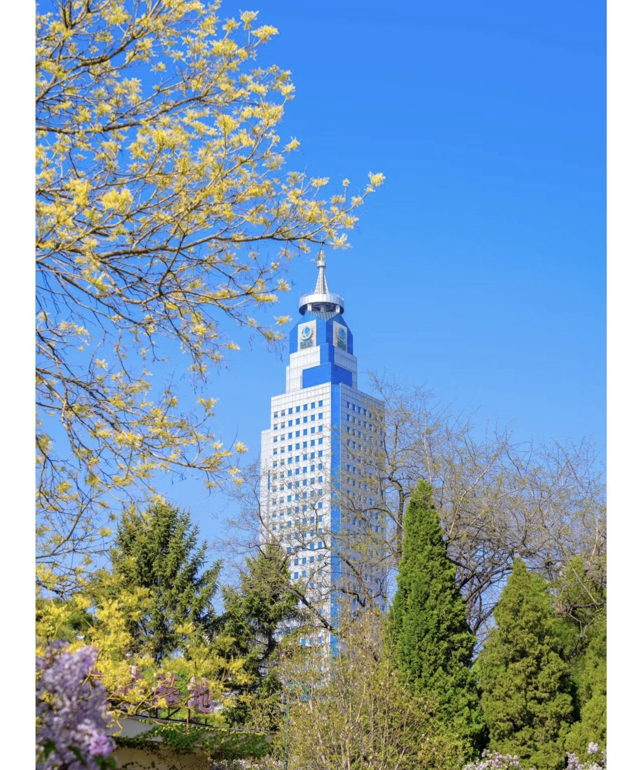 南湖公园旅行图片 3