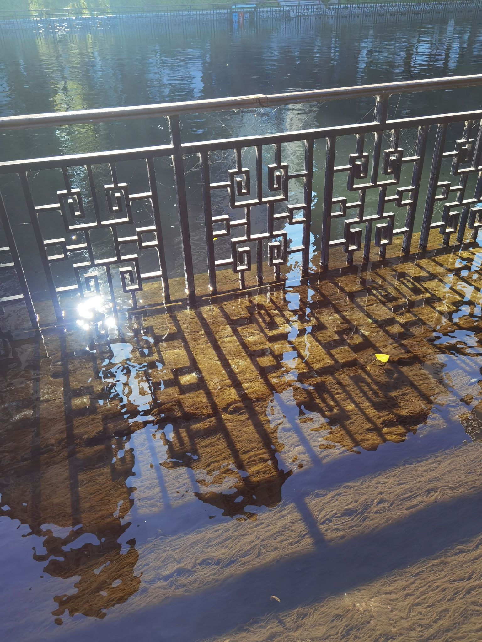 南运河带状公园旅行图片 2