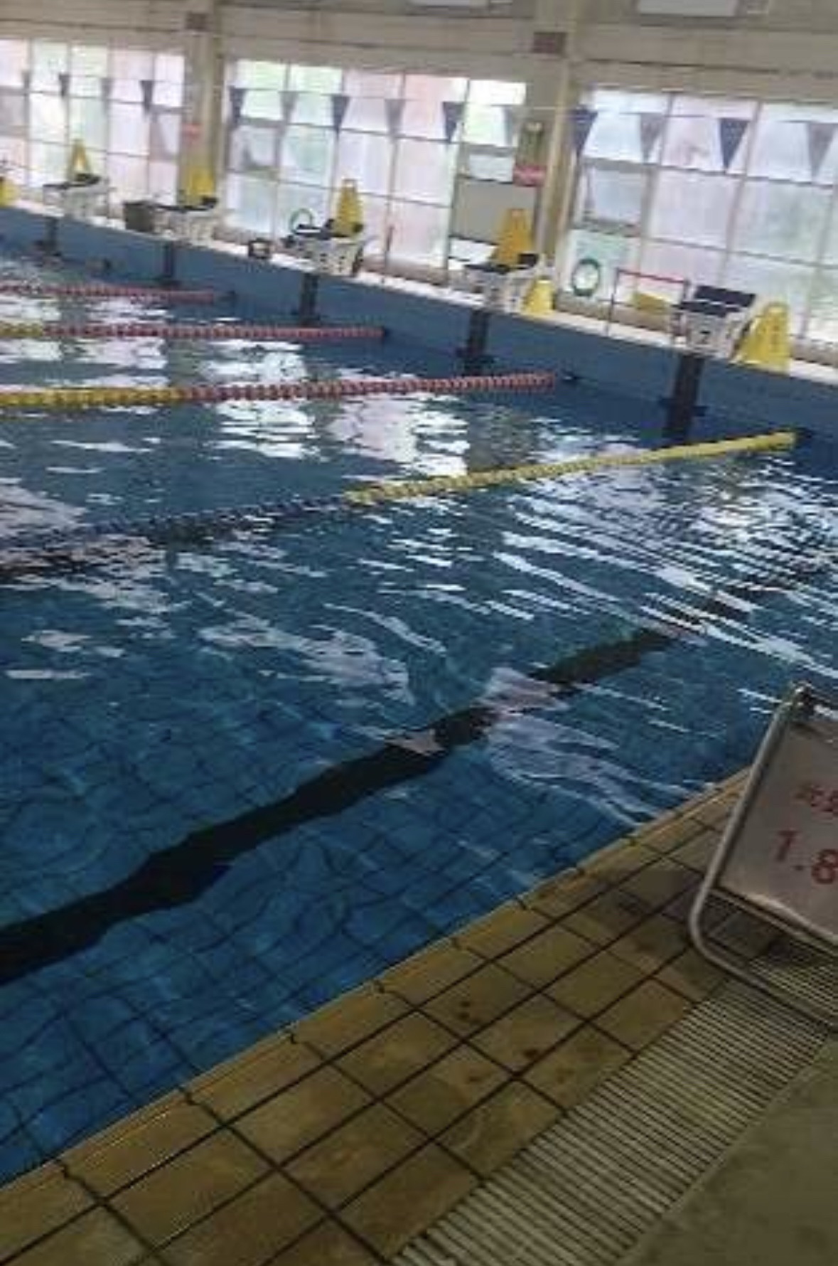 沈阳建筑大学游泳馆