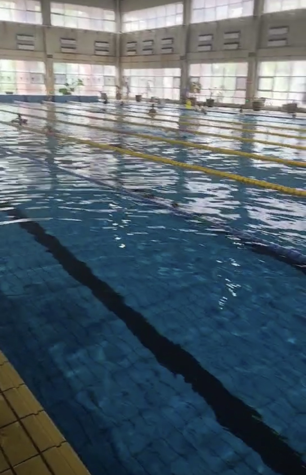 沈阳建筑大学游泳馆