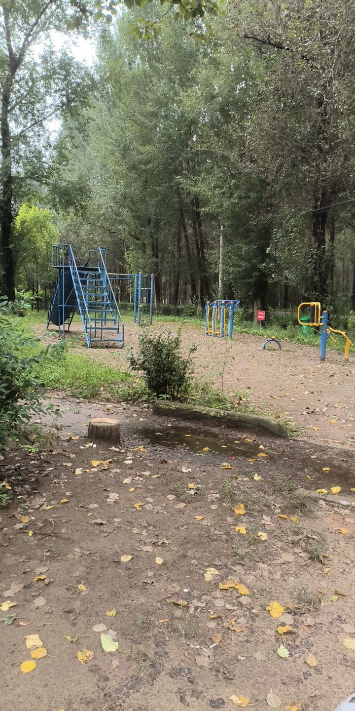 小城子森林公园旅行图片 1