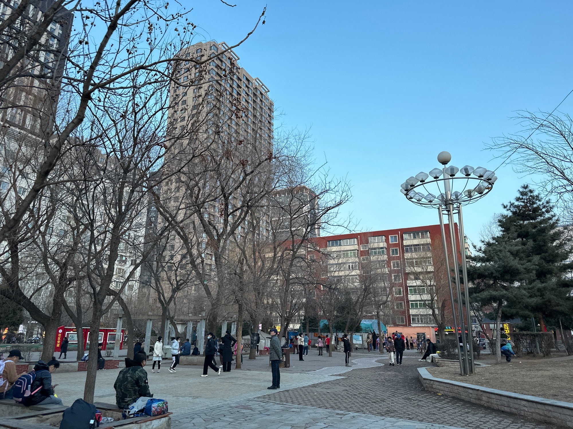 康乐园旅行图片 1