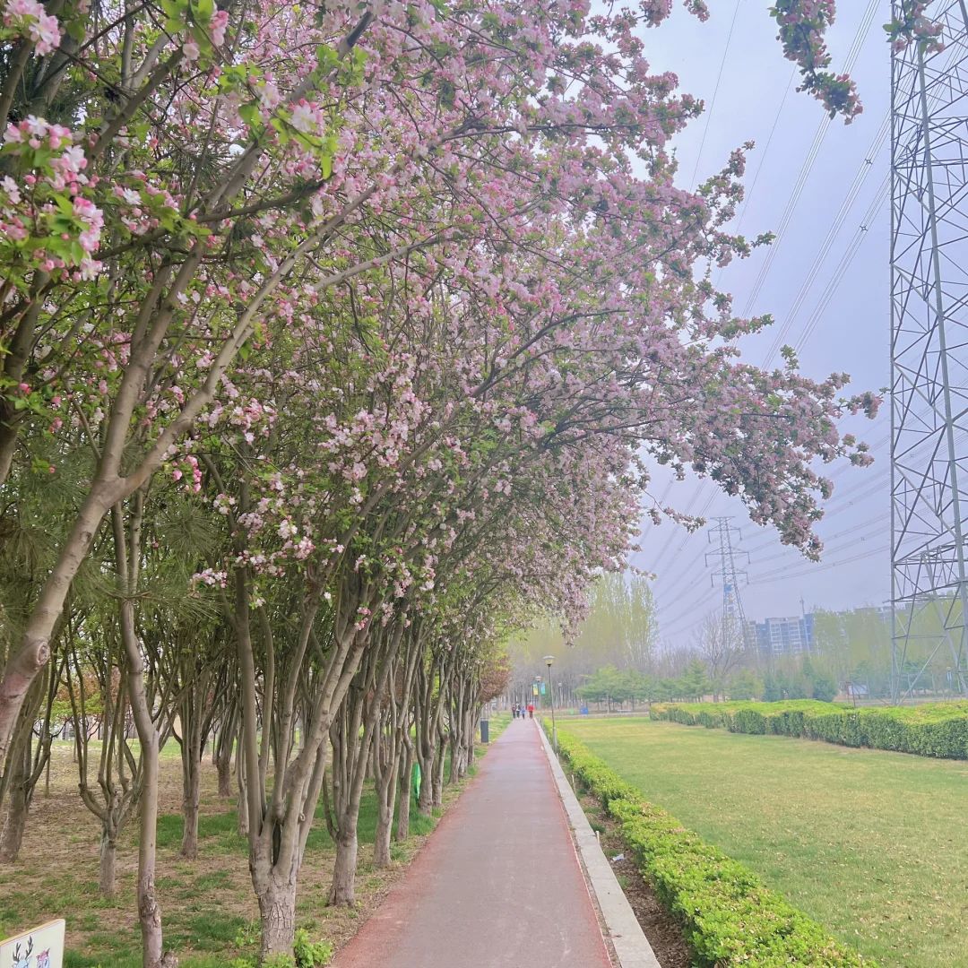 兴华公园旅行图片 3