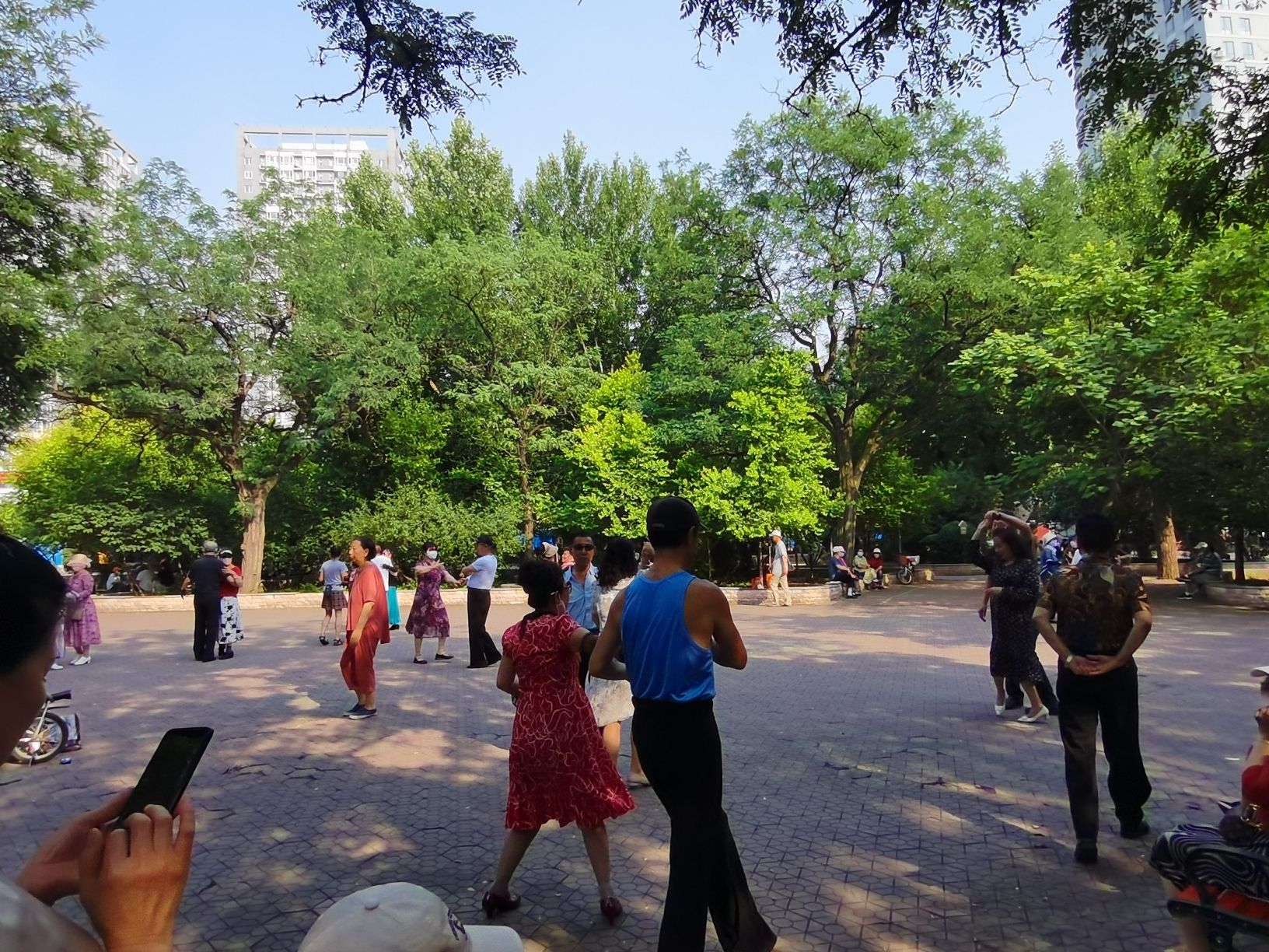 兴华公园旅行图片 1