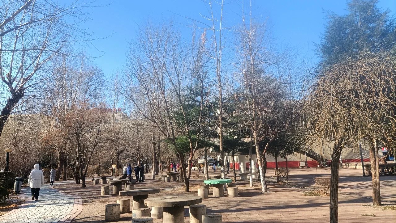 兴华公园旅行图片 1