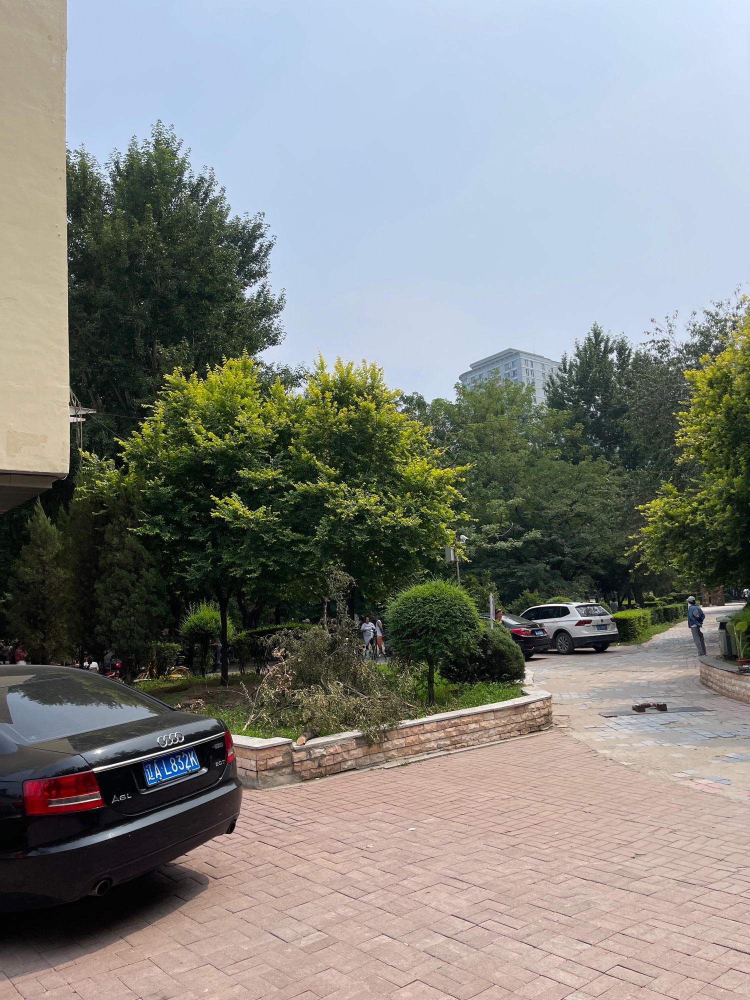 兴华公园旅行图片 3