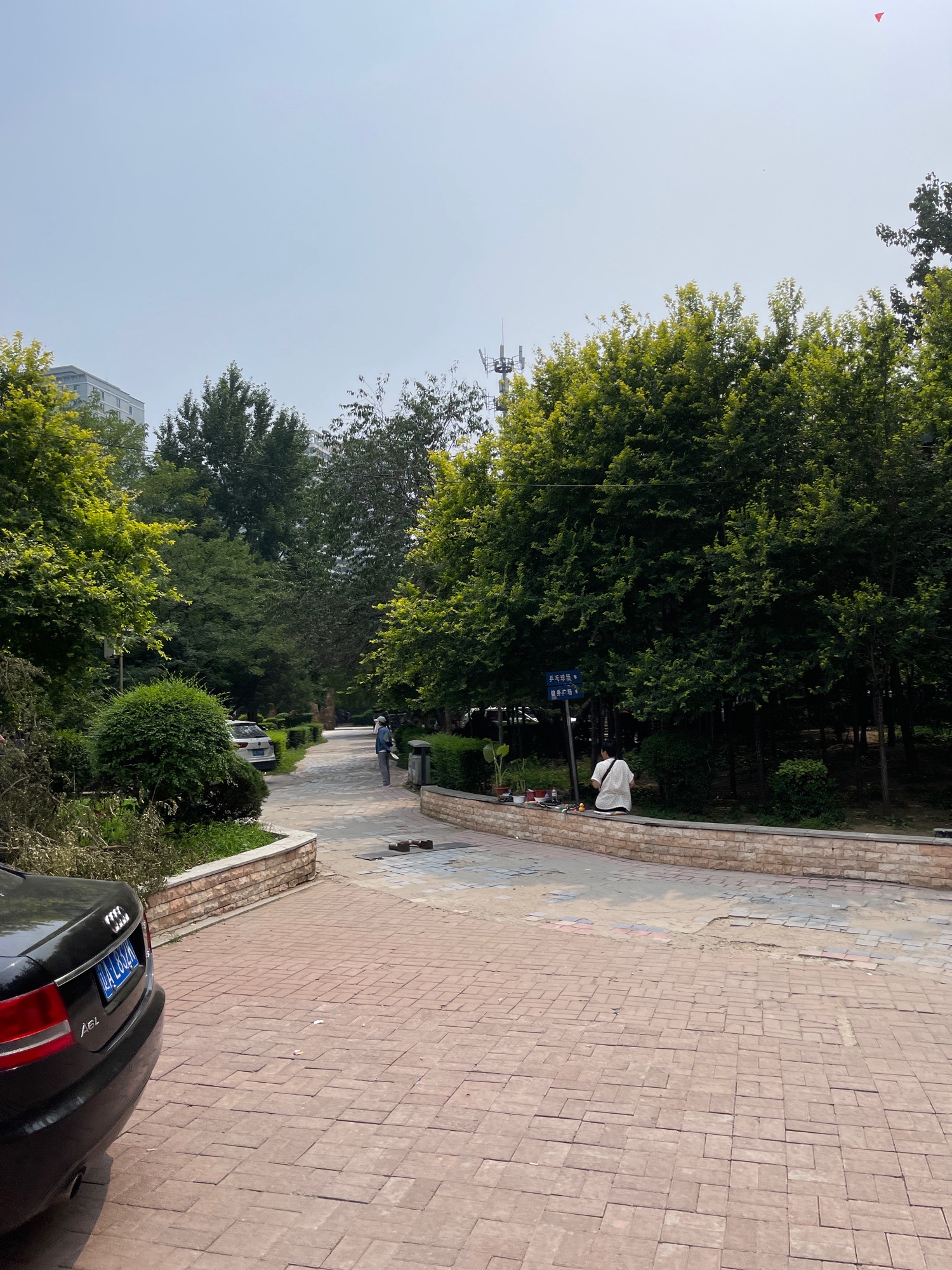 兴华公园旅行图片 1