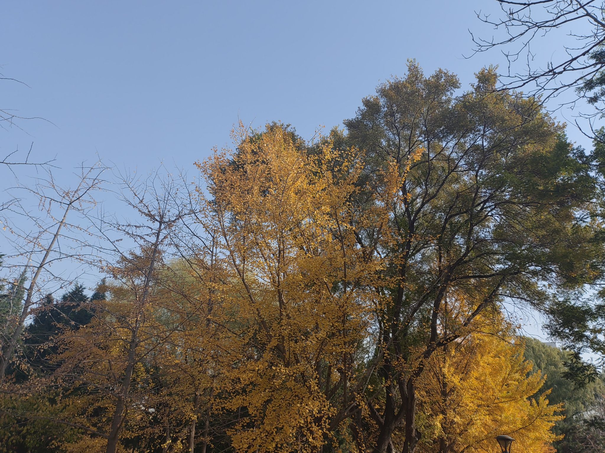 科普公园旅行图片 2