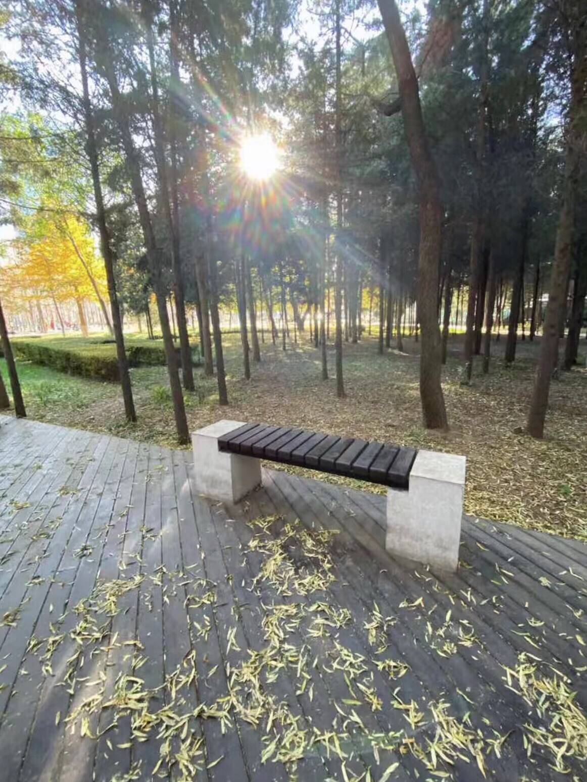 科普公园旅行图片 2