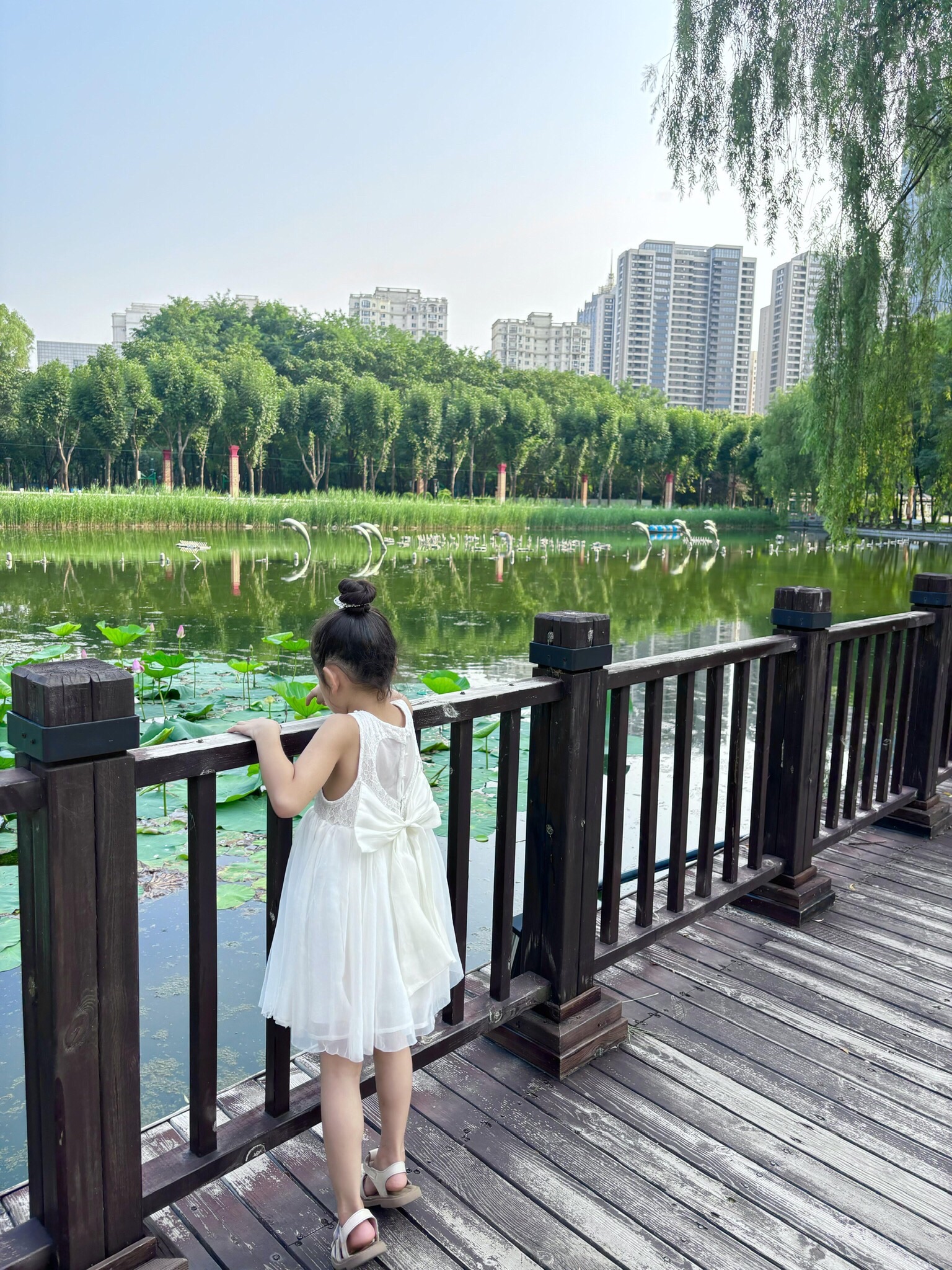 科普公园旅行图片 3
