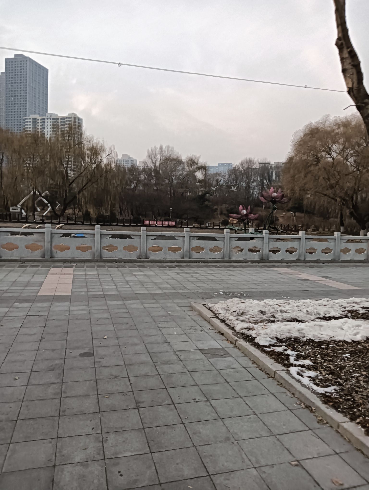 科普公园旅行图片 3
