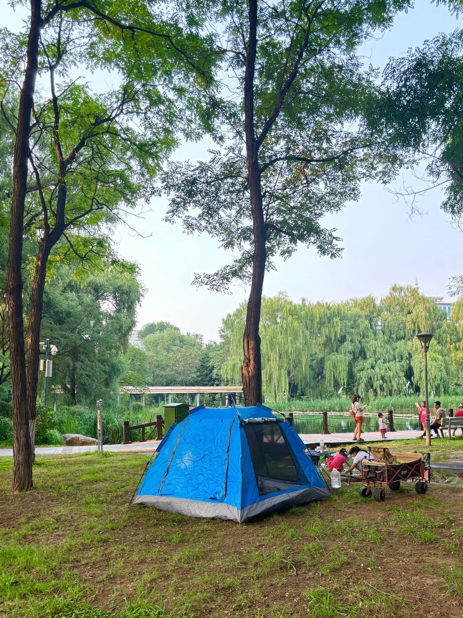 科普公园旅行图片 1