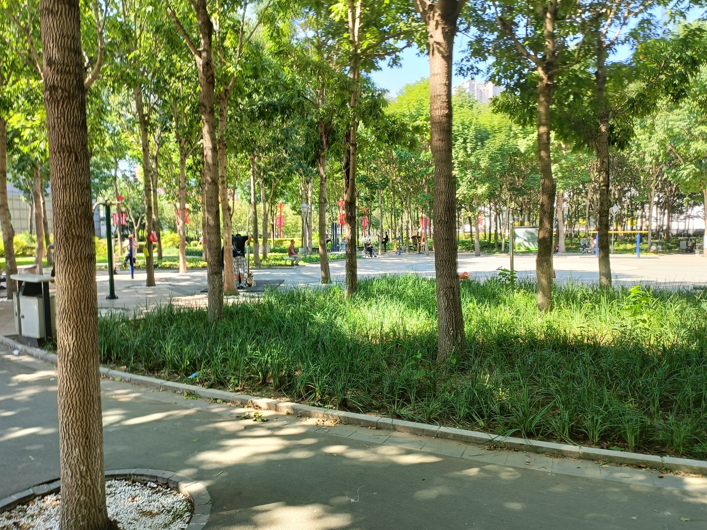 科普公园旅行图片 3