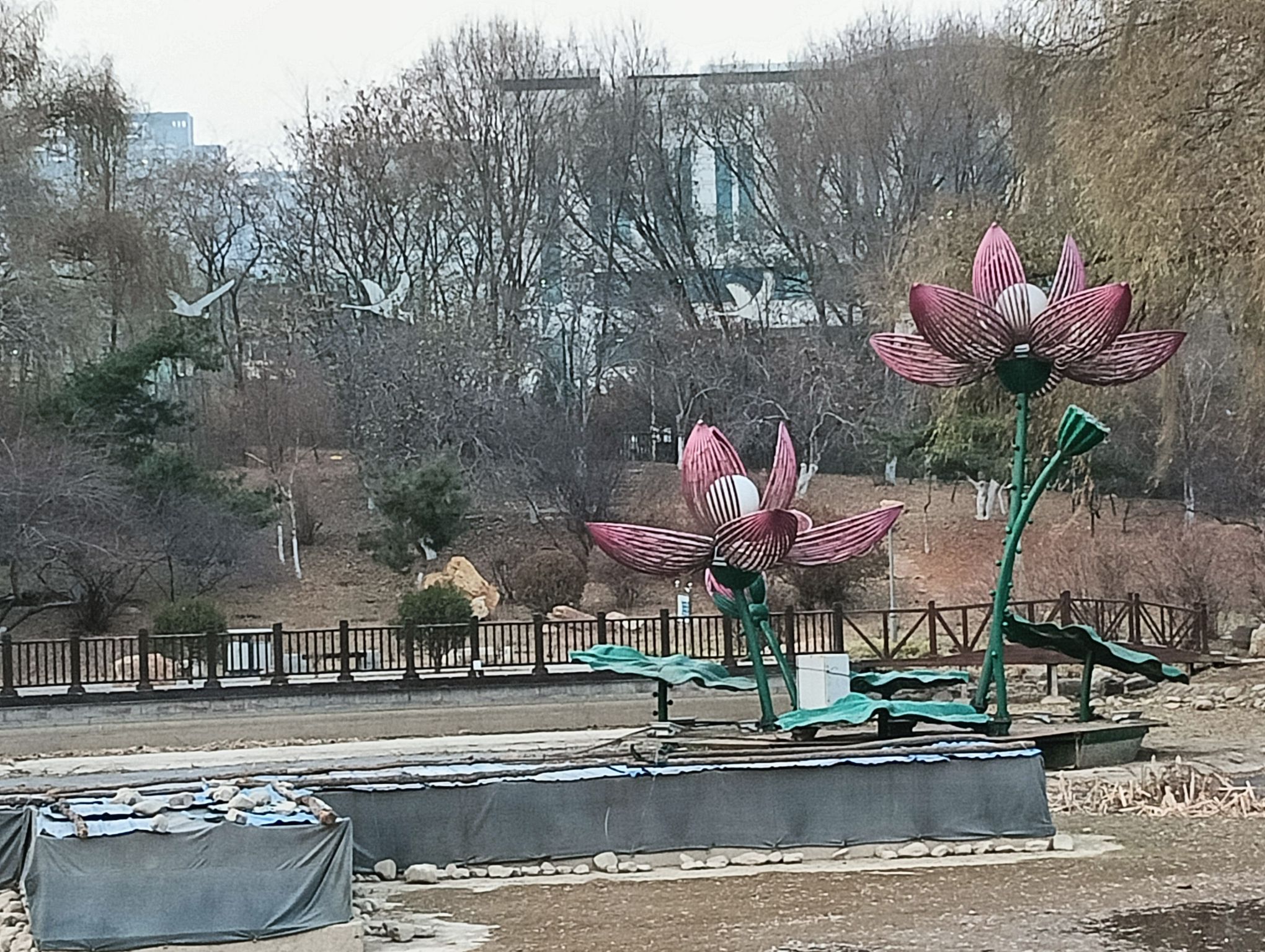 科普公园旅行图片 2