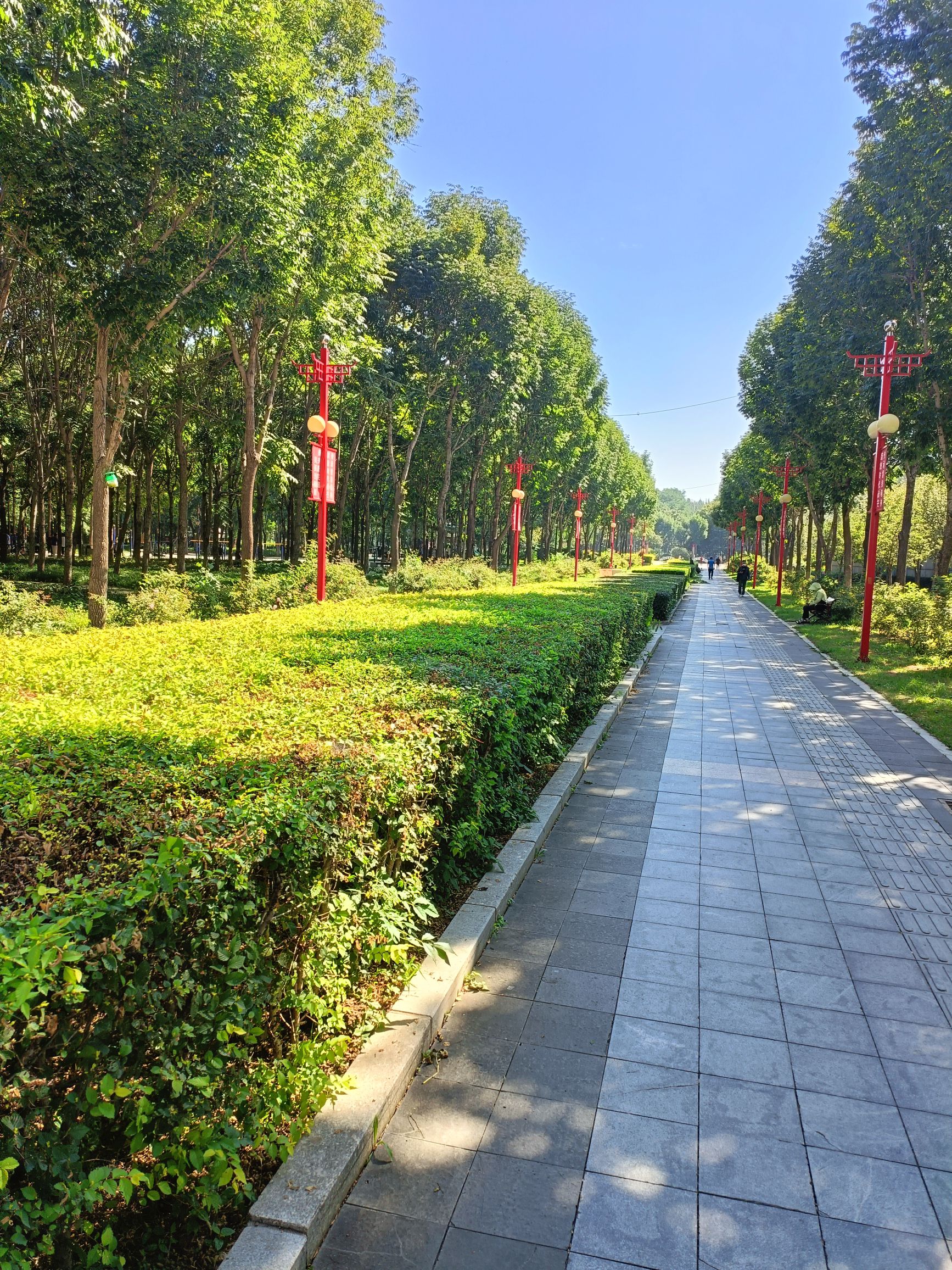 科普公园旅行图片 1