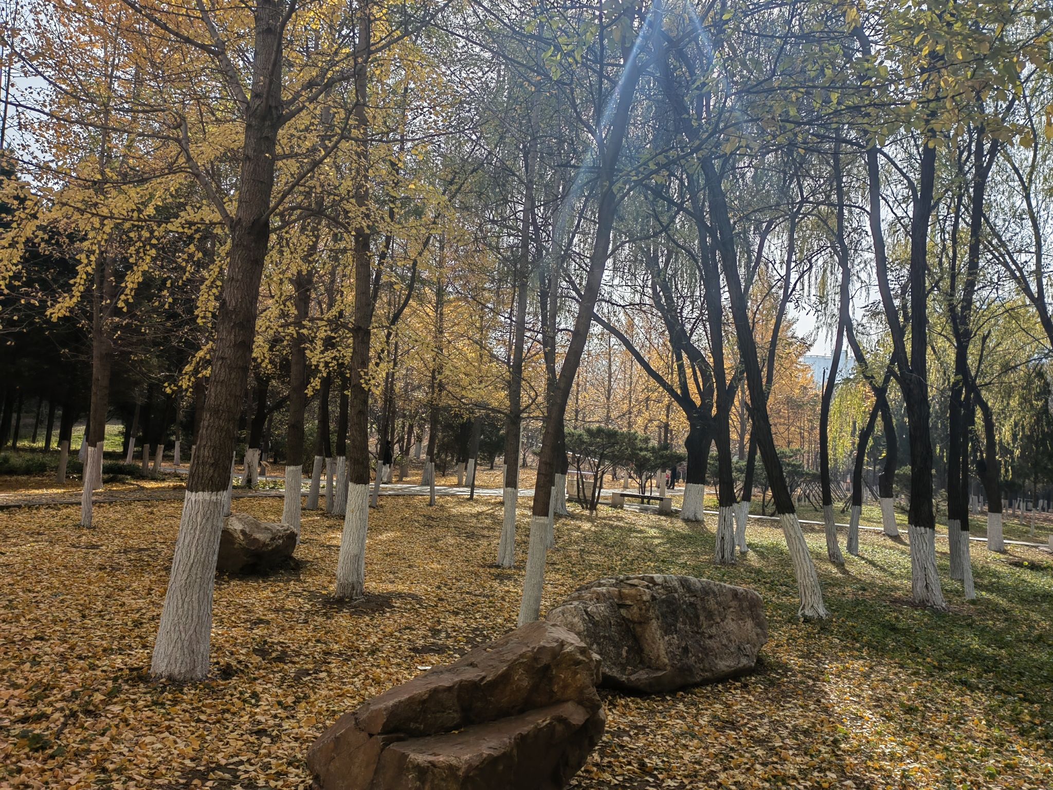 科普公园旅行图片 3