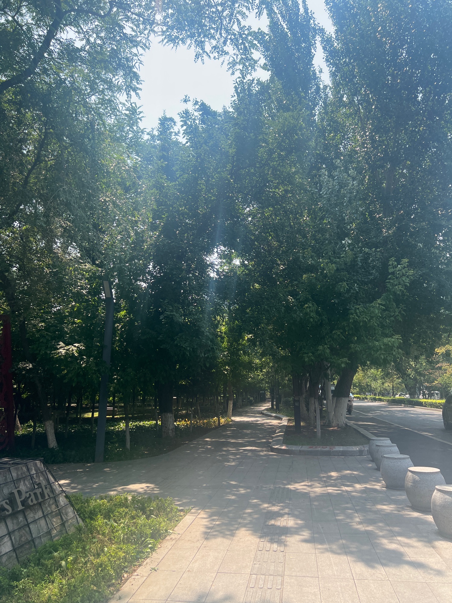 鲁迅儿童公园旅行图片 2