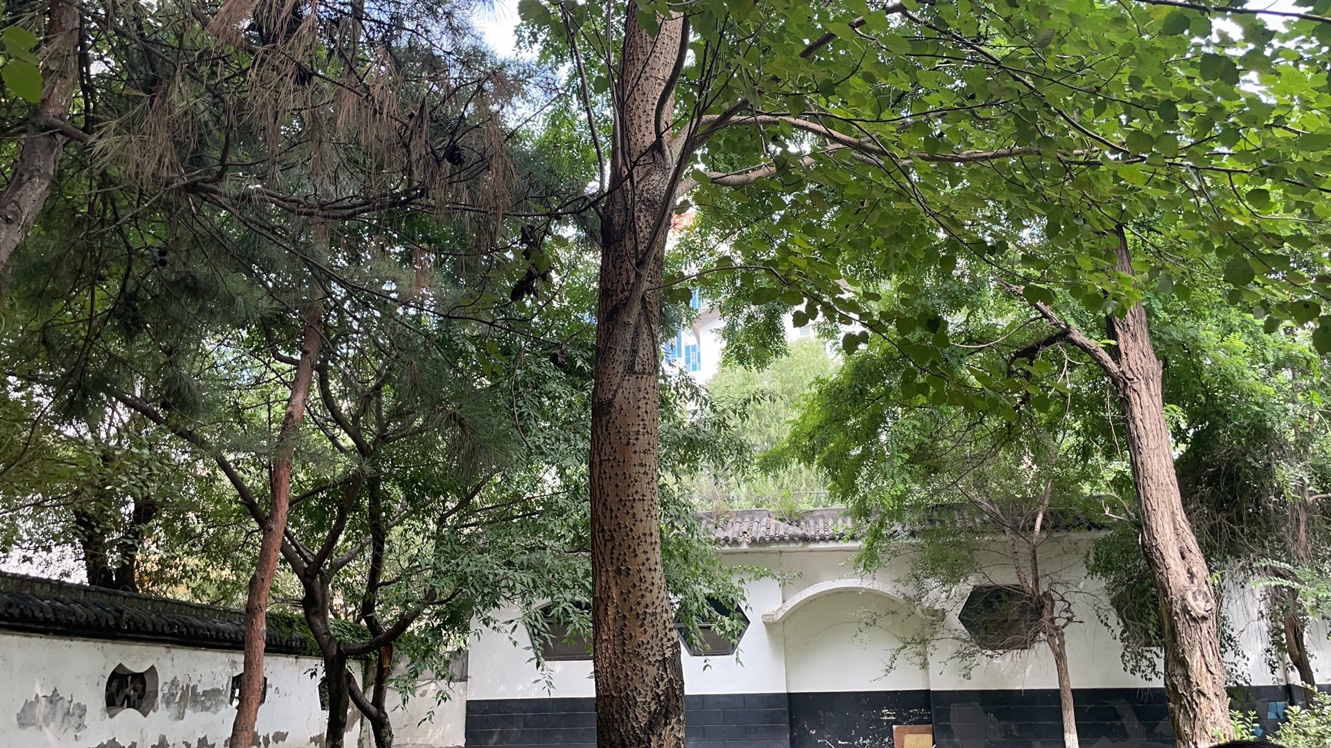 鲁迅儿童公园旅行图片 1