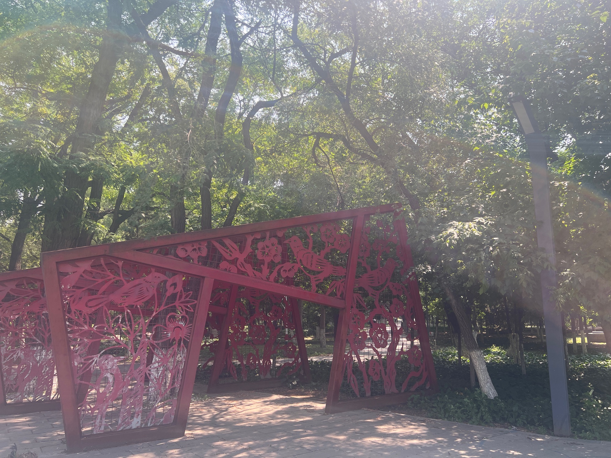 鲁迅儿童公园旅行图片 3