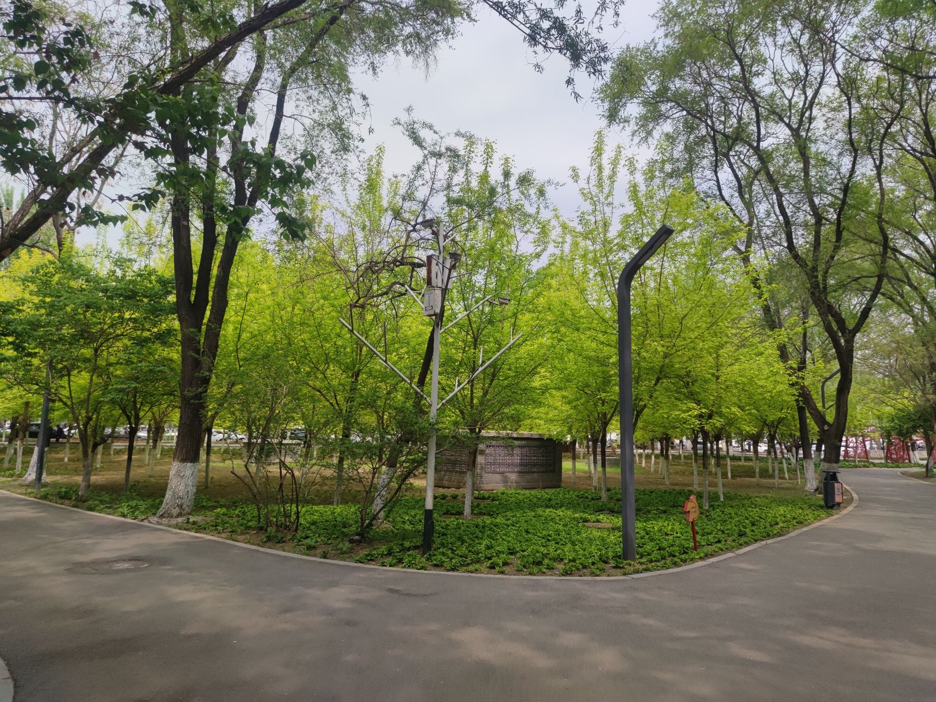 鲁迅儿童公园旅行图片 3