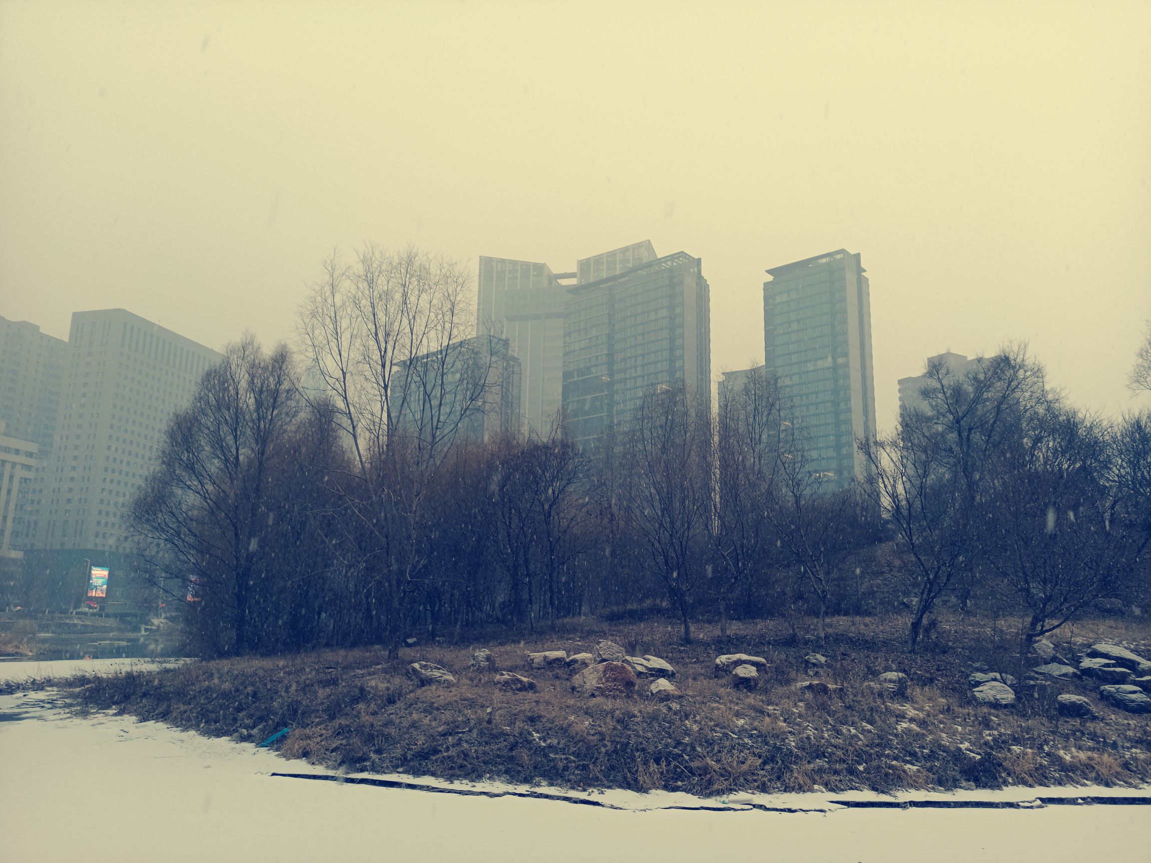 鲁迅儿童公园旅行图片 3