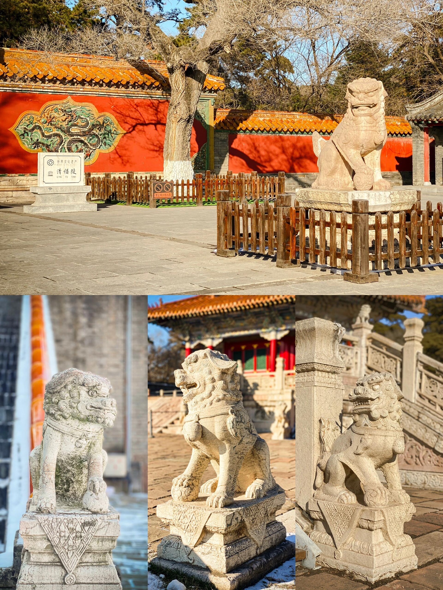 沈阳市东陵公园旅行图片 2
