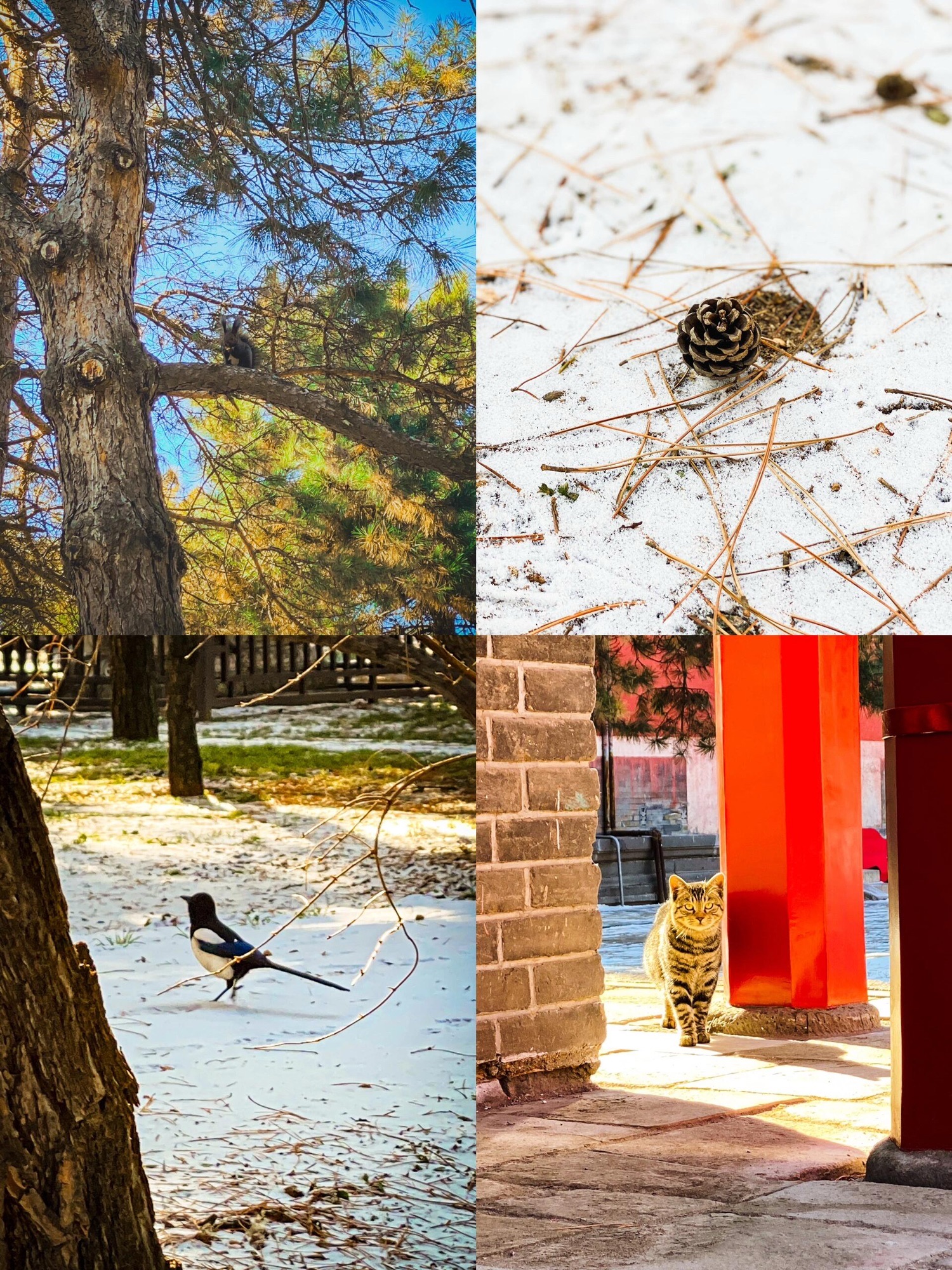 沈阳市东陵公园旅行图片 3