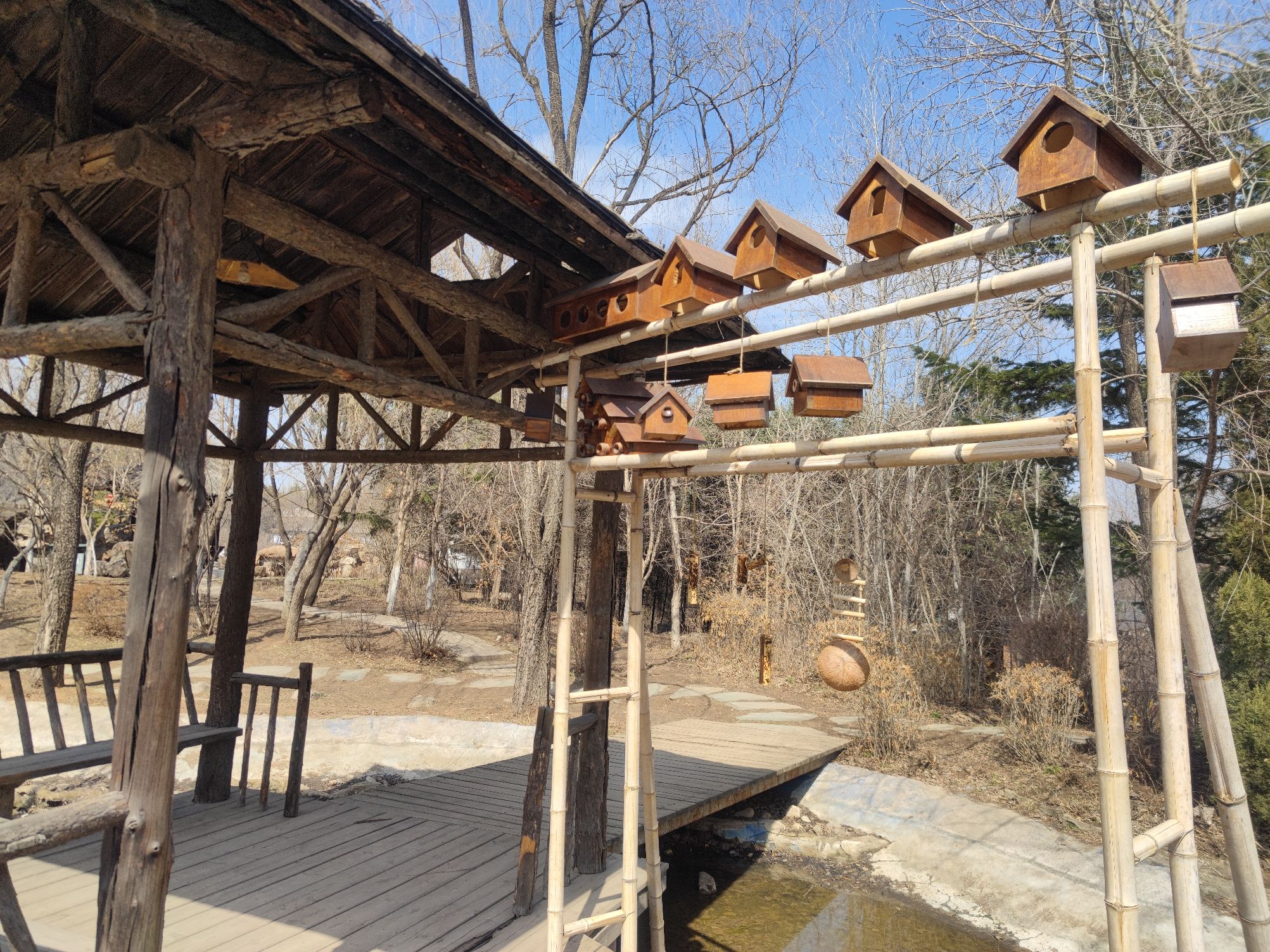 沈阳植物园(沈阳世博园)旅行图片 3