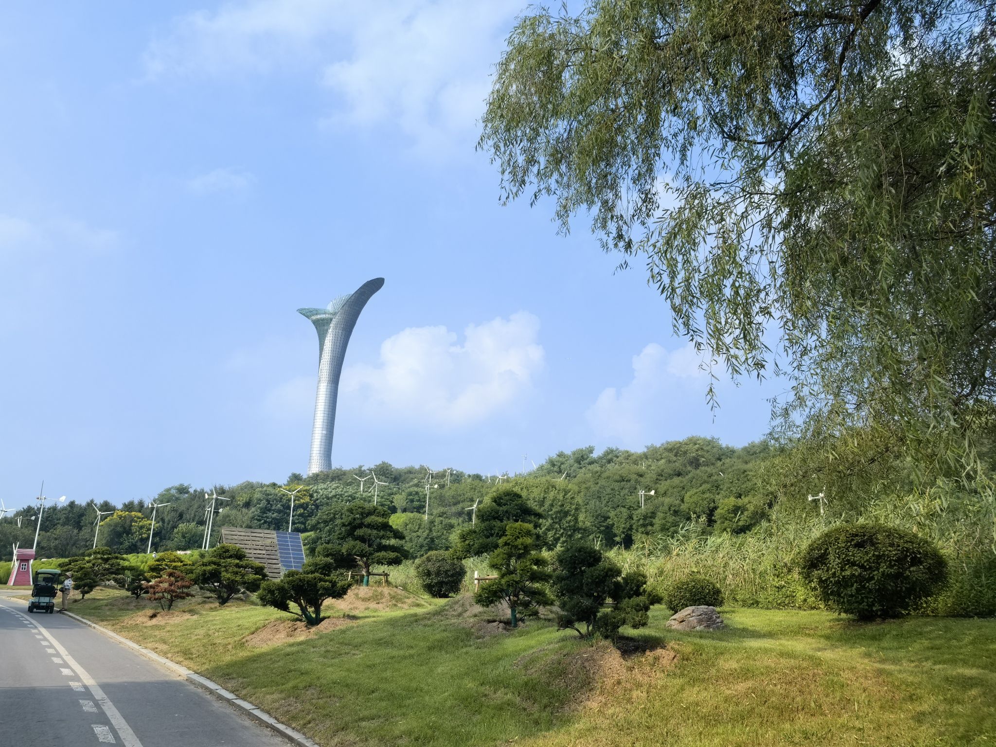 沈阳植物园(沈阳世博园)旅行图片 2