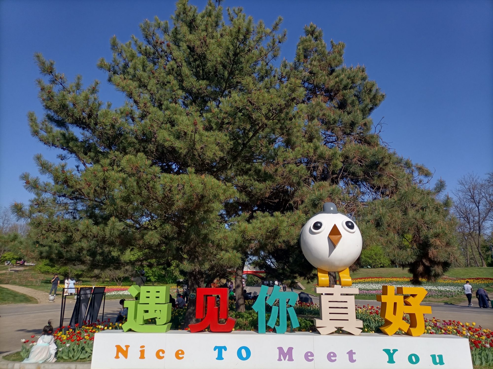 沈阳植物园(沈阳世博园)旅行图片 1