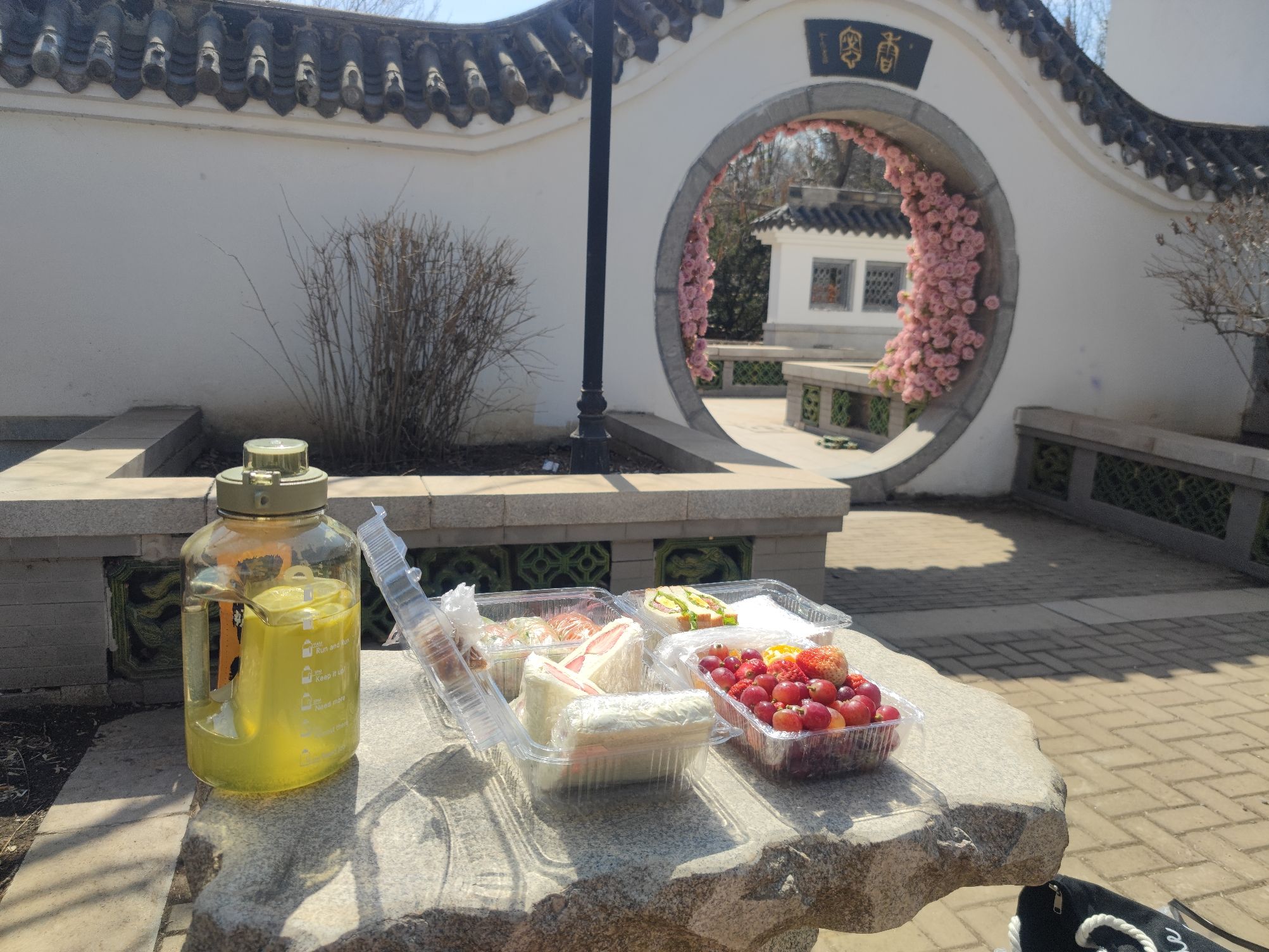 沈阳植物园(沈阳世博园)旅行图片 2