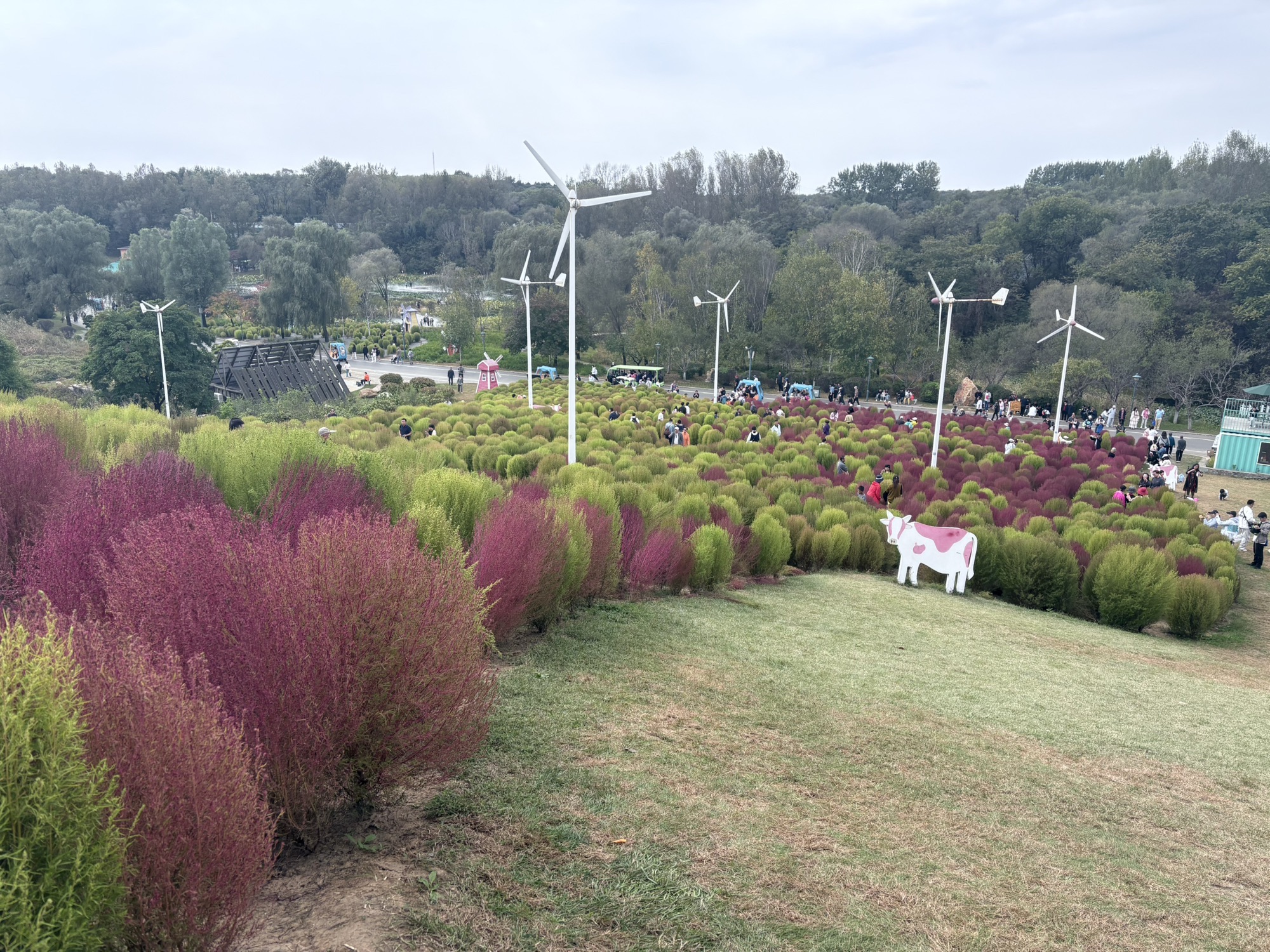 沈阳植物园(沈阳世博园)旅行图片 1
