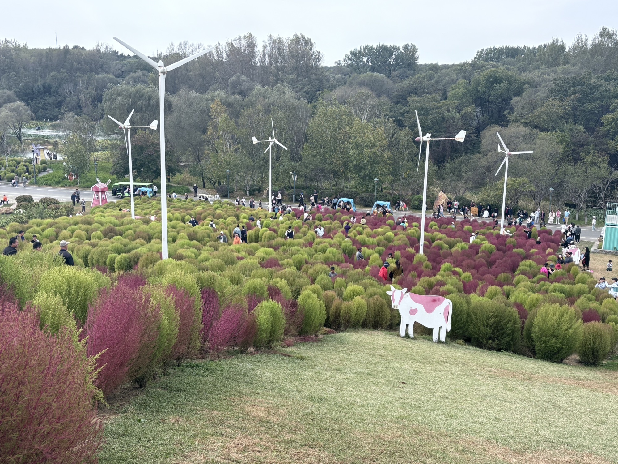 沈阳植物园(沈阳世博园)旅行图片 2