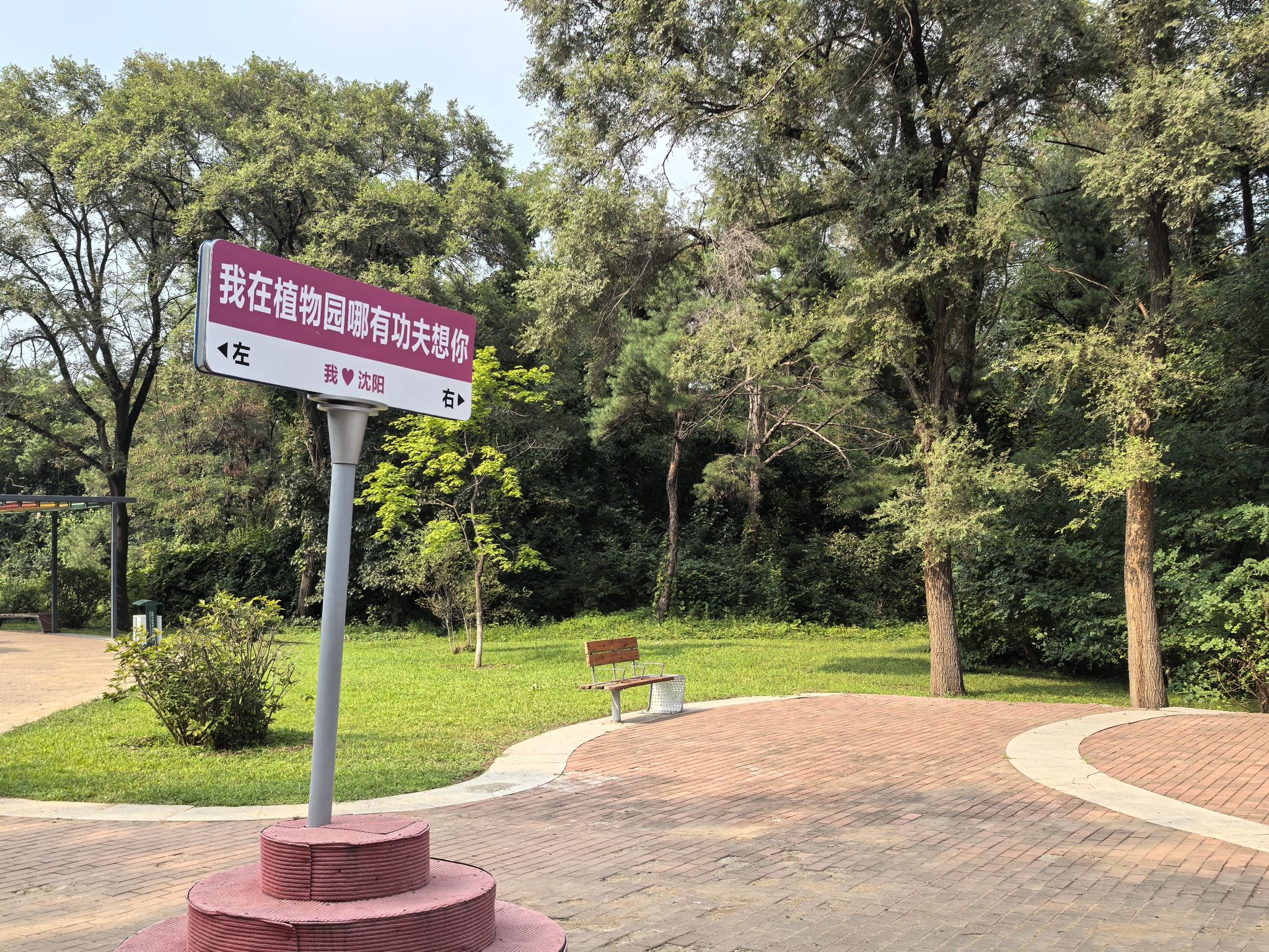 沈阳植物园(沈阳世博园)旅行图片 1