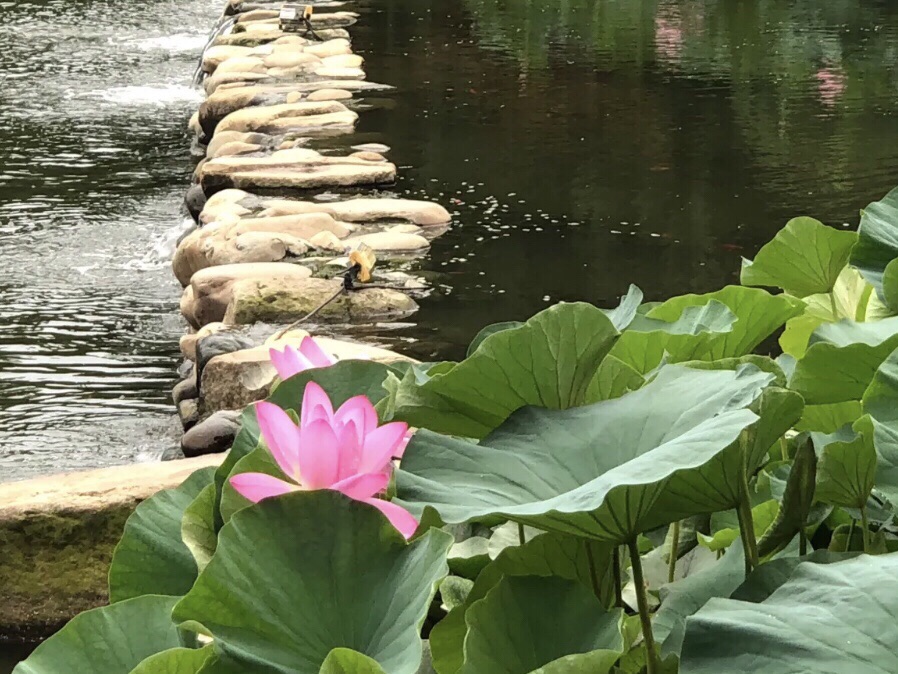 保利·双河城公园旅行图片 2