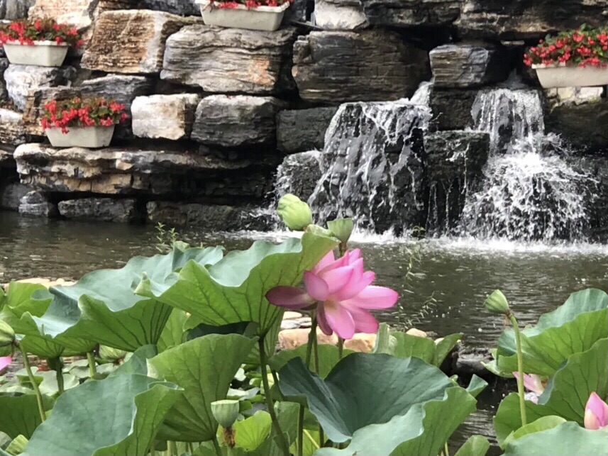 保利·双河城公园旅行图片 1