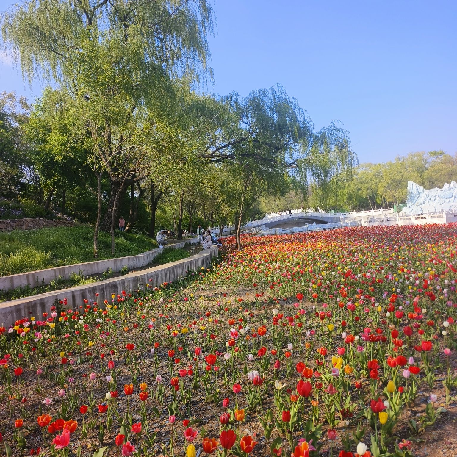 北陵公园旅行图片 1
