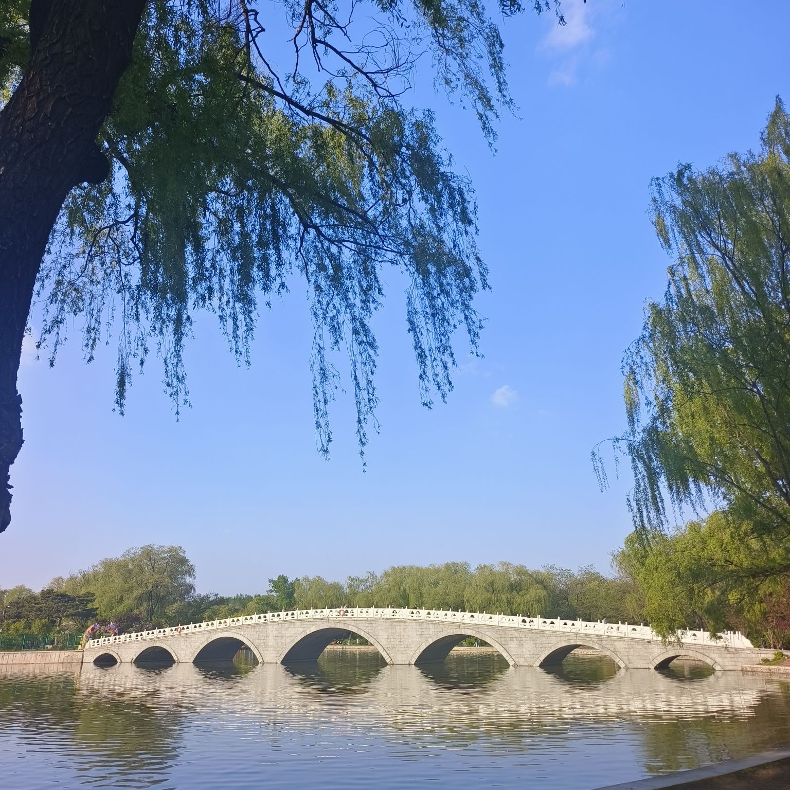 北陵公园旅行图片 3