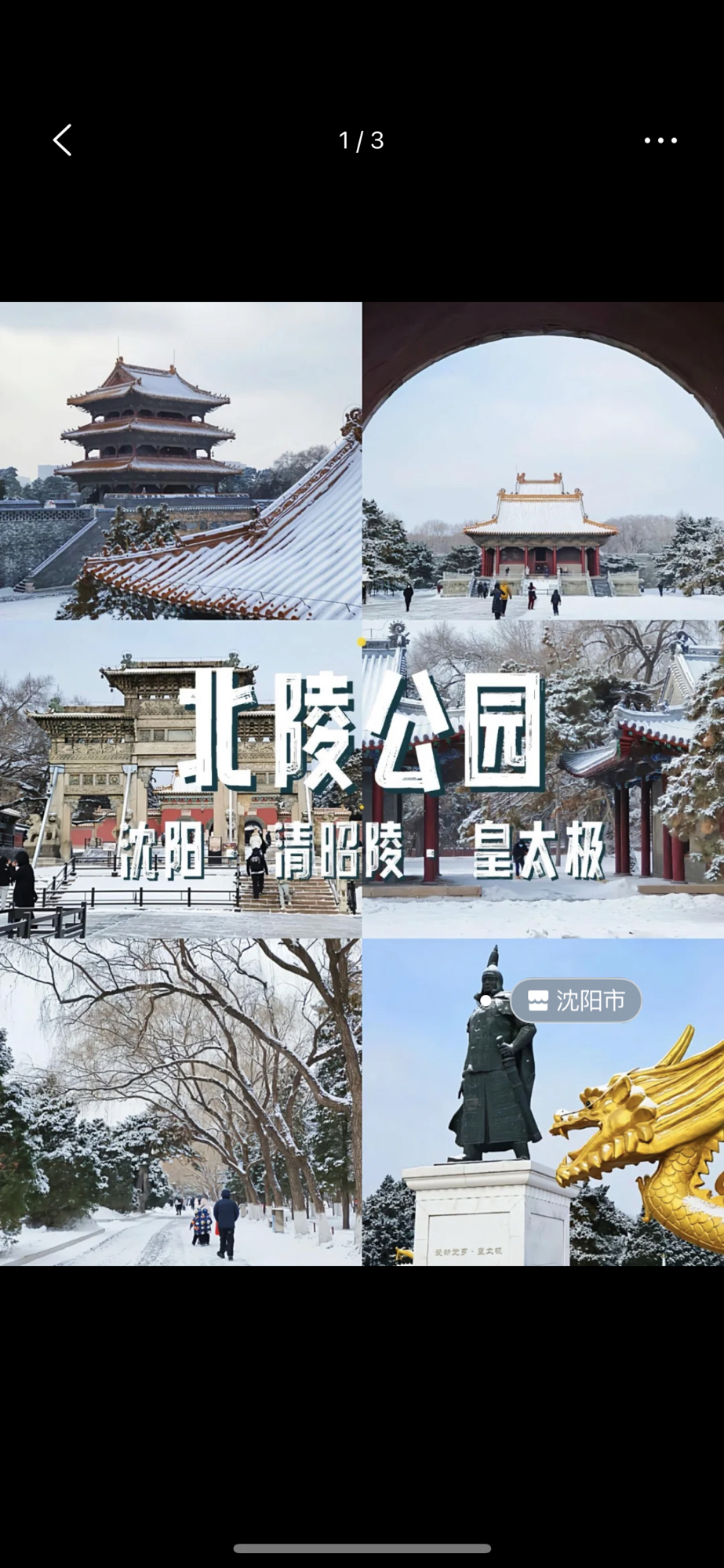 北陵公园旅行图片 1
