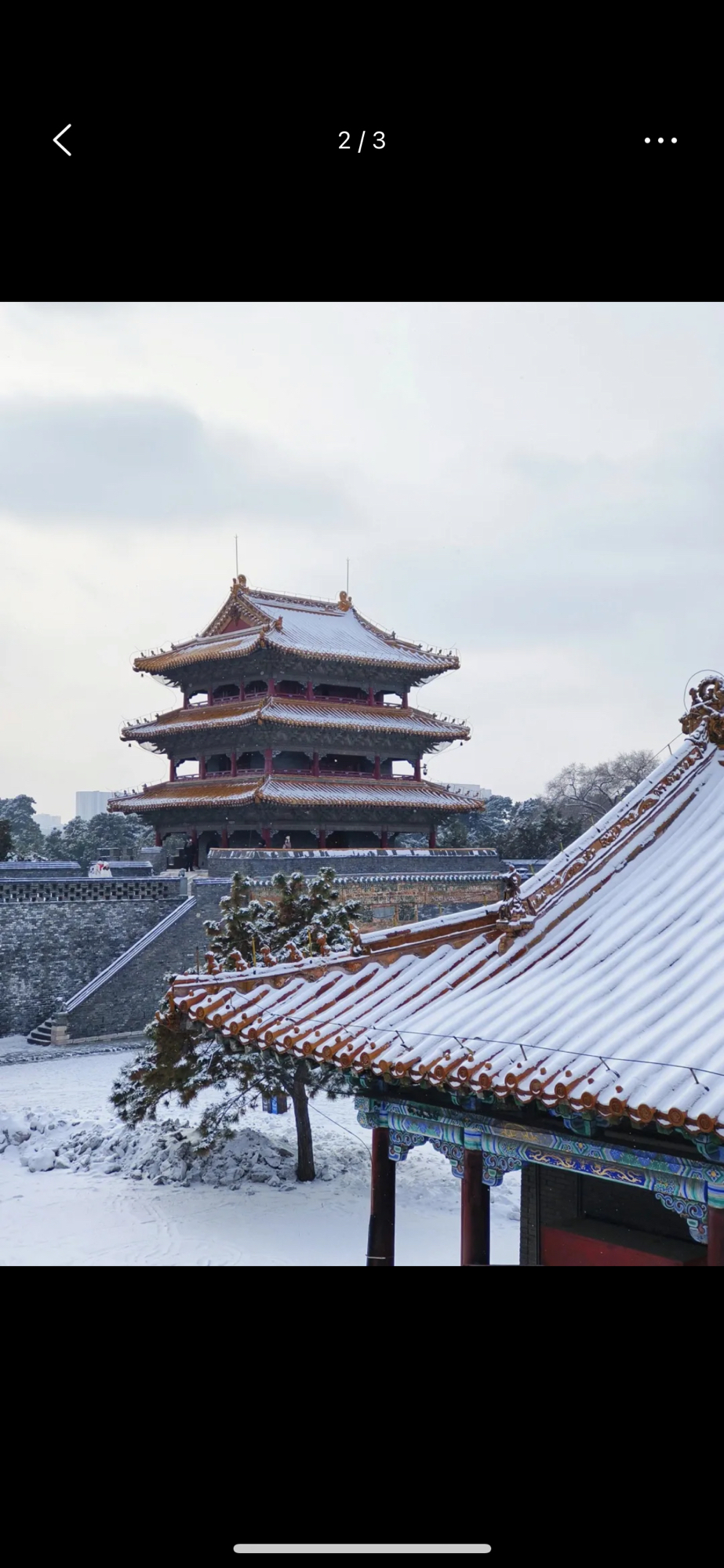 北陵公园旅行图片 2