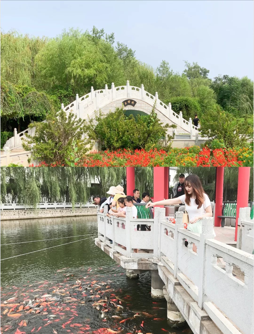 沈阳西湖风景区旅行图片 3