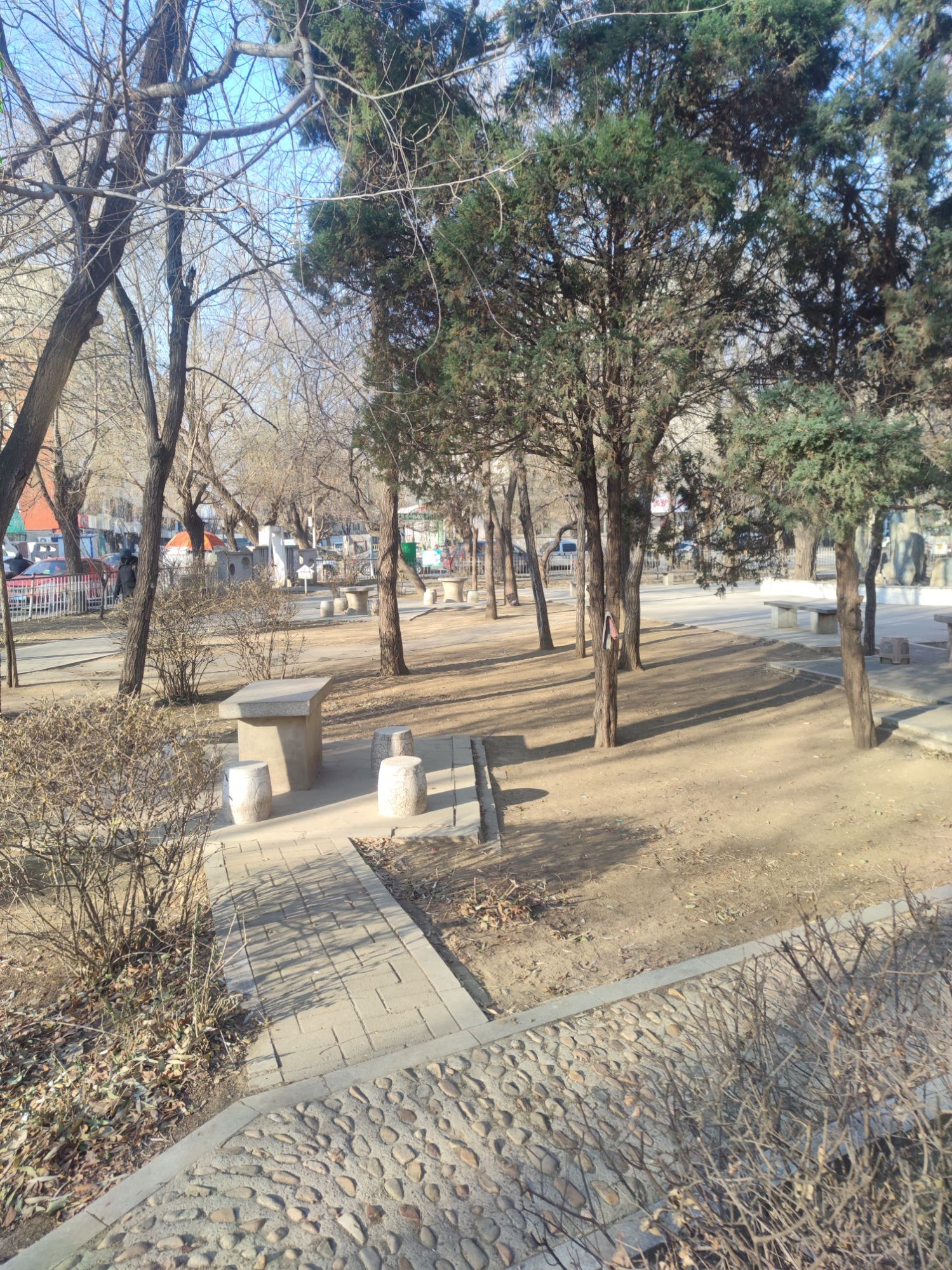 逸园旅行图片 3