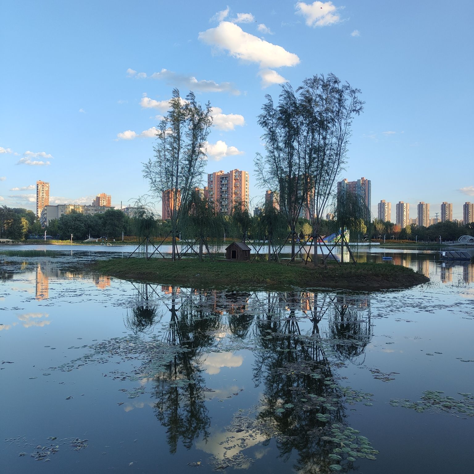 仙女湖公园旅行图片 3