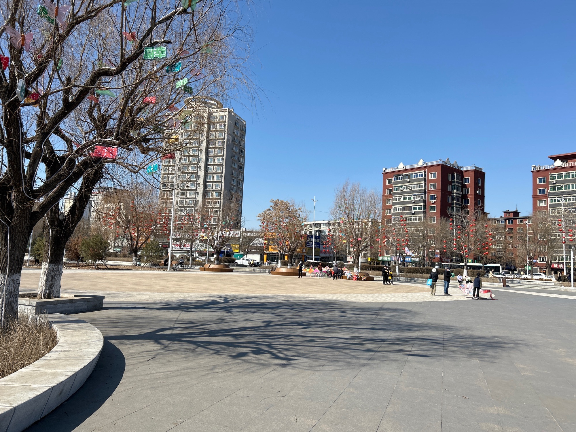 仙女湖公园旅行图片 3