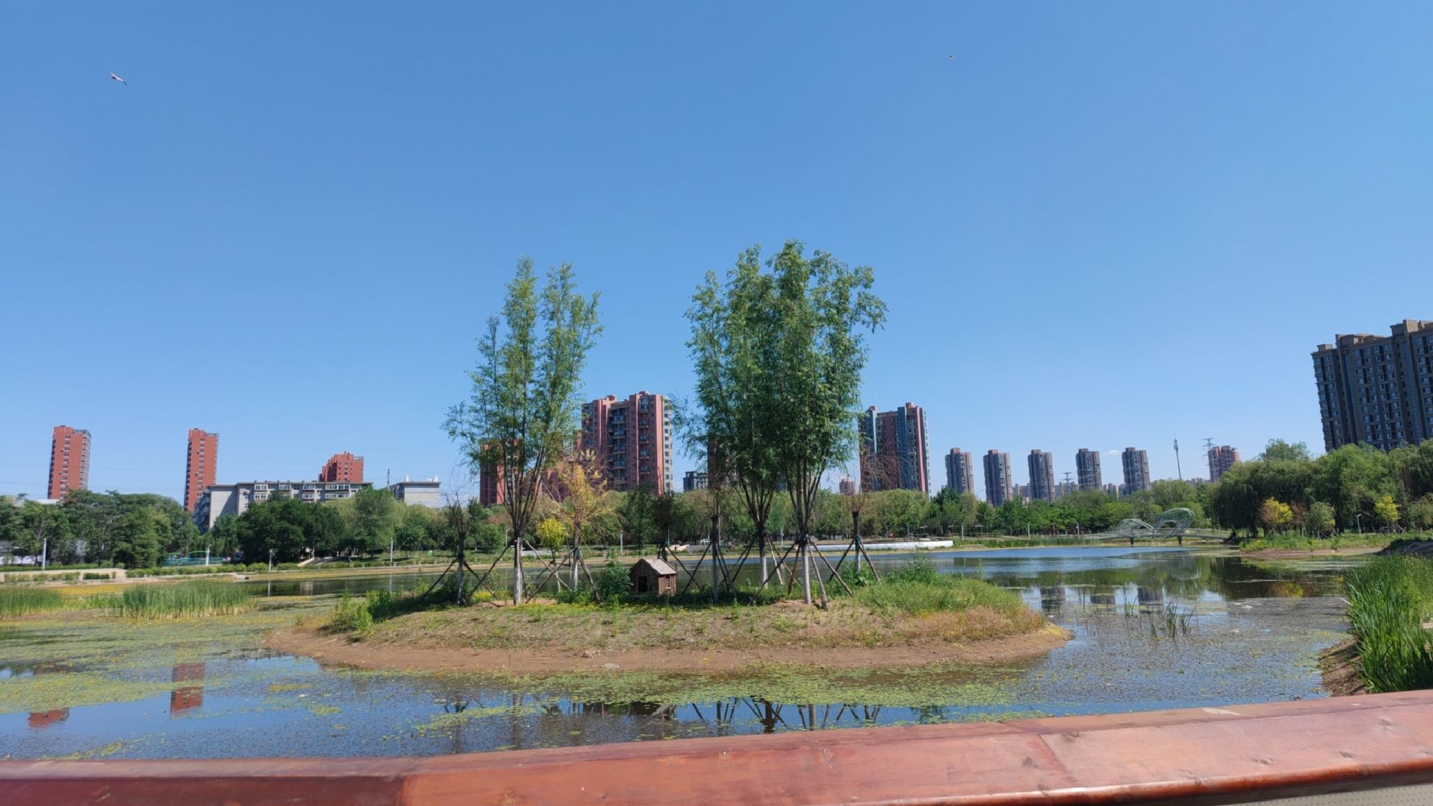 仙女湖公园旅行图片 3