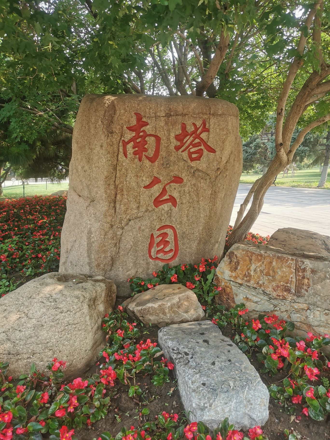 南塔公园旅行图片 1
