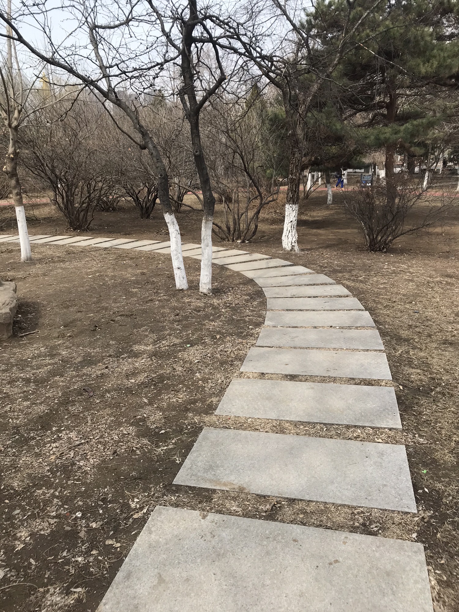 南塔公园旅行图片 2